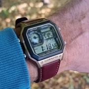 ساعت مچی مردانه CASIO مدل AE-1200WHL-5AVDF 5