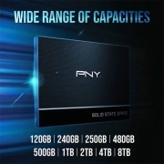 هارد اینترنال SSD پی ان وای مدل CS900 ظرفیت 1TB - مشکی