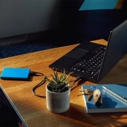 هارد اکسترنال HDD وسترن دیجیتال مدل My Passport ظرفیت 1TB - آبی
