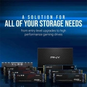 هارد اینترنال SSD پی ان وای مدل CS900 ظرفیت 500GB - مشکی