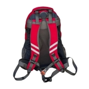 کوله پشتی کوهنوردی دیوتر مدل DTR1221 ظرفیت 55L- قرمز