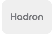 hadron