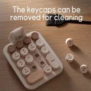 کیبورد اعداد بی سیم مافی مدل 520 - طیف قهوه ای