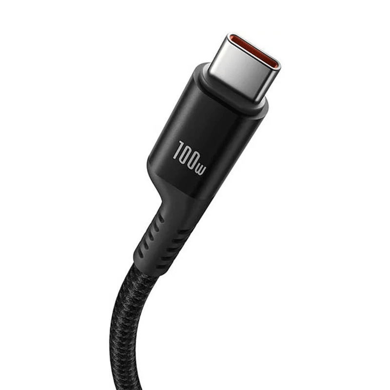 کابل شارژ USB-C به USB-C بیسوس مدل Fish-Eye 100W طول 1m - مشکی 2
