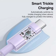 کابل شارژ سریع USB-C به USB-C بیسوس مدل Gem 100W طول 1m - بنفش