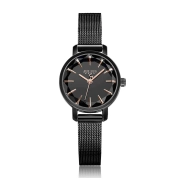 ساعت مچی زنانه جولیوس مدل JA-1063E